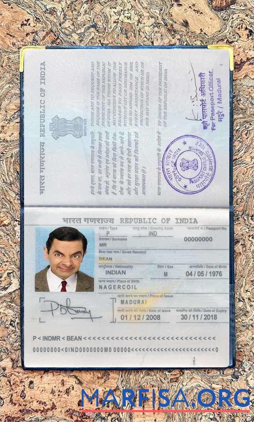 Printable India passport photo look example
